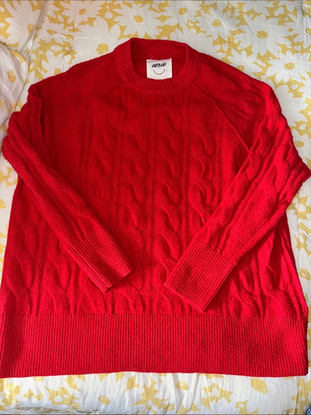 aerie Oversized Cable Knit Crewneck Sweater